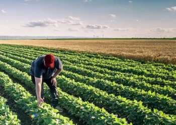 Επίσκεψη κλιμακίου της ΠΟΓΕΔΥ στην Κρήτη – Συνάντηση με γεωτεχνικούς δημόσιους υπαλλήλους