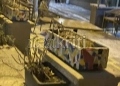 Επίθεση με αυγά και άλλα αντικείμενα δέχθηκε ο Μάκης Βορίδης στο Ηράκλειο Κρήτης (φωτό)