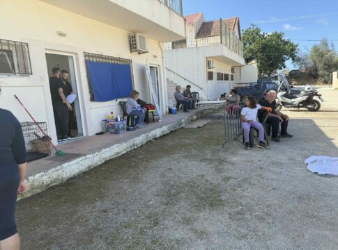 Επιτυχημένη η δράση φροντίδας ζώων συντροφιάς στην Πόμπια