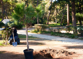 Ευρώπη: Xάνει καθημερινά πράσινο έκτασης 600 γηπέδων ποδοσφαίρου