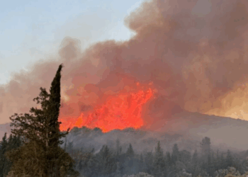 Εύβοια: Φωτιά στην παραλία Ζαράκων - Κινητοποιήθηκαν εναέρια μέσα