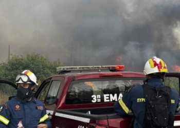 Φωτιά στις Μαλάδες: Ένα ιδιαίτερο “ευχαριστώ” για την άμεση επέμβαση