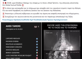 Γάζα: Ρεσάλτο στρατιωτών σε 13 πλοία, υπό κράτηση η Τούνμπεργκ