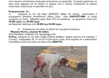 Ηλεία: Αμοιβή για να βρεθεί ο δράστης που κακοποίησε άγρια το σκυλάκι