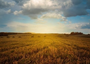 Κλιματική αλλαγή: Τα “εργαλεία” και οι προκλήσεις στην Κρήτη