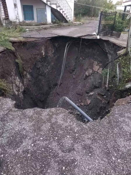 φυτειες