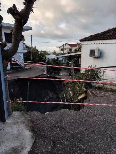 φυτειες