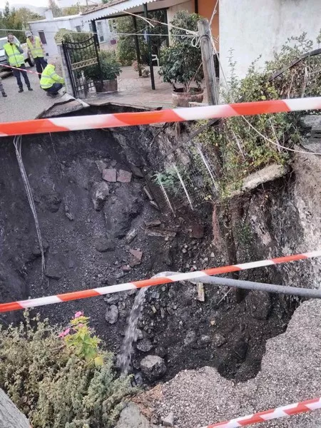 φυτειες