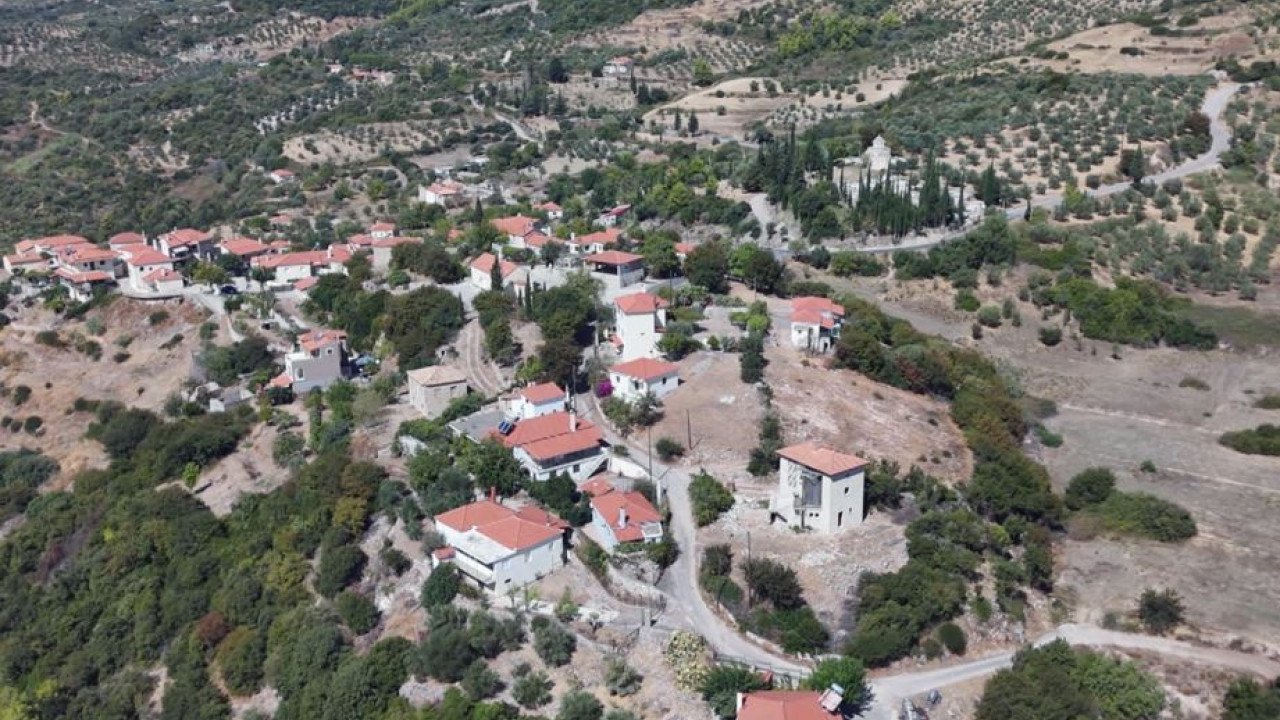 Μάκιστος & Αρτέμιδα: Παλεύουν να ζωντανέψουν ξανά