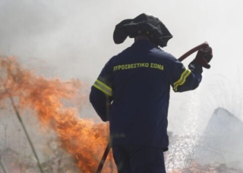 Μεγάλη φωτιά στις Μελέσες – Σηκώθηκε ελικόπτερο