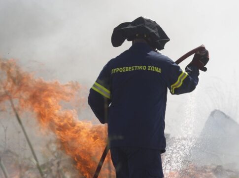 Μεγάλη φωτιά στις Μελέσες – Σηκώθηκε ελικόπτερο