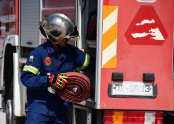 Μεσαρά: Πυροσβέστες έσωσαν τρία σκυλιά που έπεσαν σε λιμνοδεξαμενή