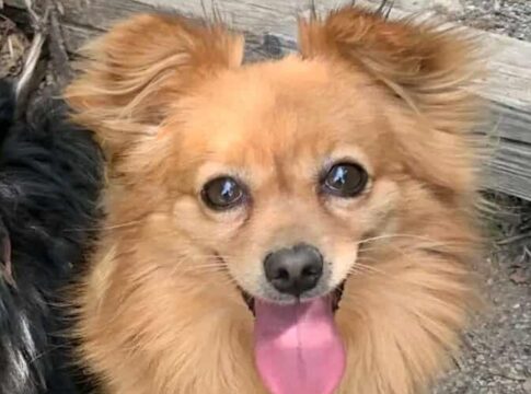 Μοίρες: Μήπως είδατε τον Δούκα;