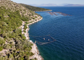 Νταλιάνι: Η τεχνική ψαρέματος που είναι αποκλειστικό προνόμιο της Πρέβεζας