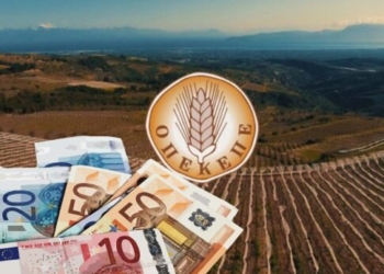 ΟΠΕΚΕΠΕ: «Να καταλογιστούν ευθύνες» – Τι λένε παραγωγοί της Μεσαράς στο Creta24 για τη σύλληψη του 36χρονου