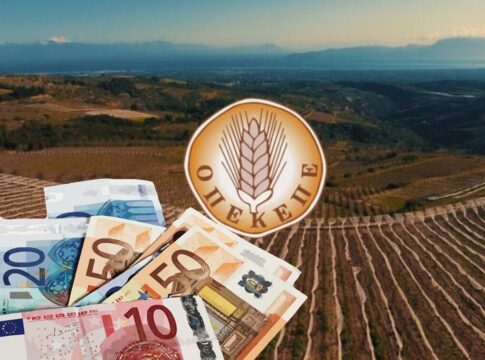 ΟΠΕΚΕΠΕ: «Να καταλογιστούν ευθύνες» – Τι λένε παραγωγοί της Μεσαράς στο Creta24 για τη σύλληψη του 36χρονου