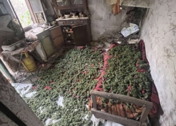 Ρέθυμνο: 14 κιλά κάνναβης αποκάλυψε η αστυνομική επιχείρηση για διακινητές ναρκωτικών – Ανήλικος ανάμεσα στους συλληφθέντες