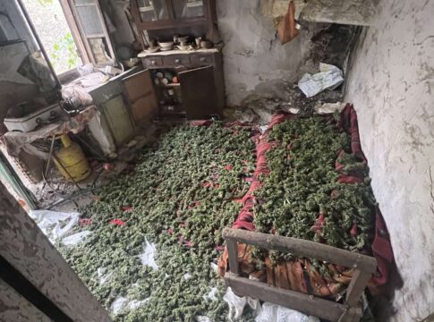 Ρέθυμνο: 14 κιλά κάνναβης αποκάλυψε η αστυνομική επιχείρηση για διακινητές ναρκωτικών – Ανήλικος ανάμεσα στους συλληφθέντες