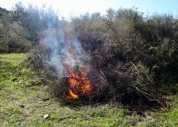 Ρέθυμνο: Τσουχτερό πρόστιμο για το κάψιμο κλαδιών σε δασική περιοχή