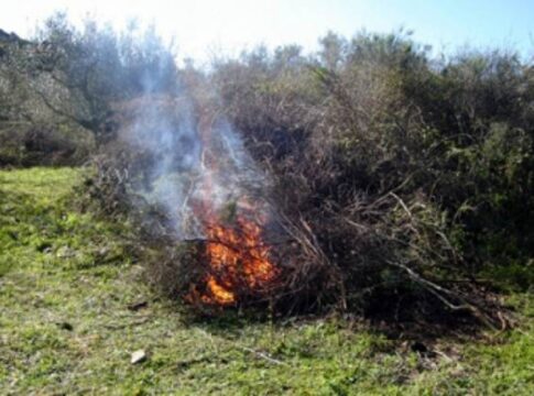 Ρέθυμνο: Τσουχτερό πρόστιμο για το κάψιμο κλαδιών σε δασική περιοχή