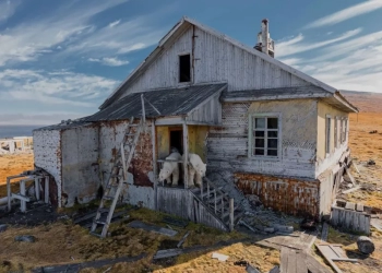 Σουρεάλ εικόνες: Πολικές αρκούδες ζουν σε εγκαταλελειμμένο ρωσικό σταθμό, στην Άπω Ανατολή 