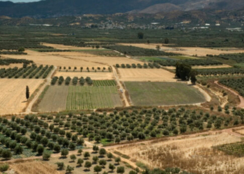 Στεγνώνει ο κάμπος της Μεσαράς – “Σκάβουμε στον πάτο της λεκάνης” τονίζει ο Γρ. Νικολιδάκης