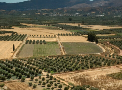Στεγνώνει ο κάμπος της Μεσαράς – “Σκάβουμε στον πάτο της λεκάνης” τονίζει ο Γρ. Νικολιδάκης