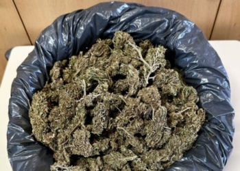 Σύλληψη 47χρονου για κατοχή και καλλιέργεια κάνναβης στον Δήμο Χερσονήσου