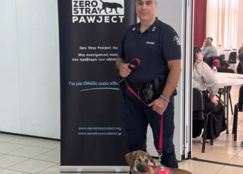 Τα αδέσποτα ως εύκολη λεία για κακοποιητές και δείκτης αύξησης της εγκληματικότητας