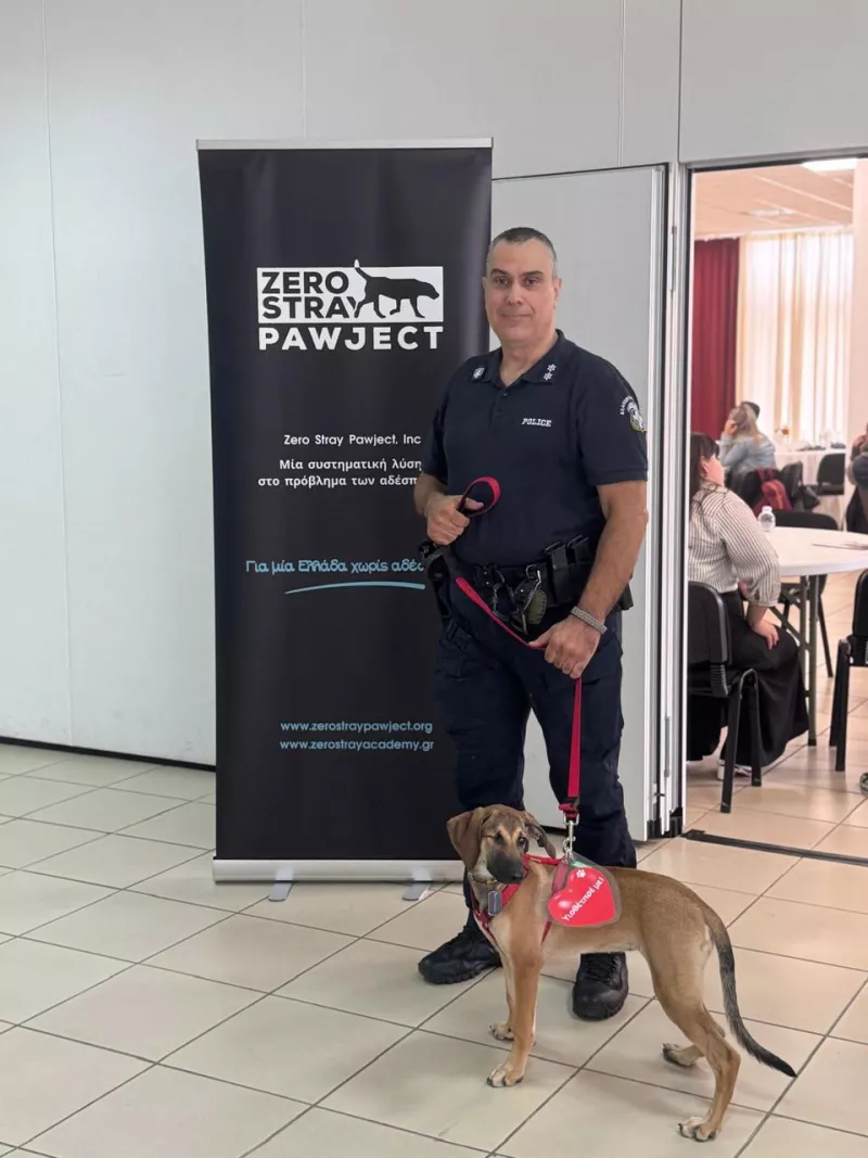 Τα αδέσποτα ως εύκολη λεία για κακοποιητές και δείκτης αύξησης της εγκληματικότητας