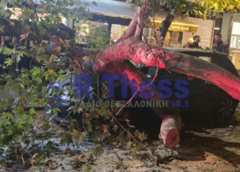 Θεσσαλονίκη: Δέντρο καταπλάκωσε σταθμευμένο αυτοκίνητο