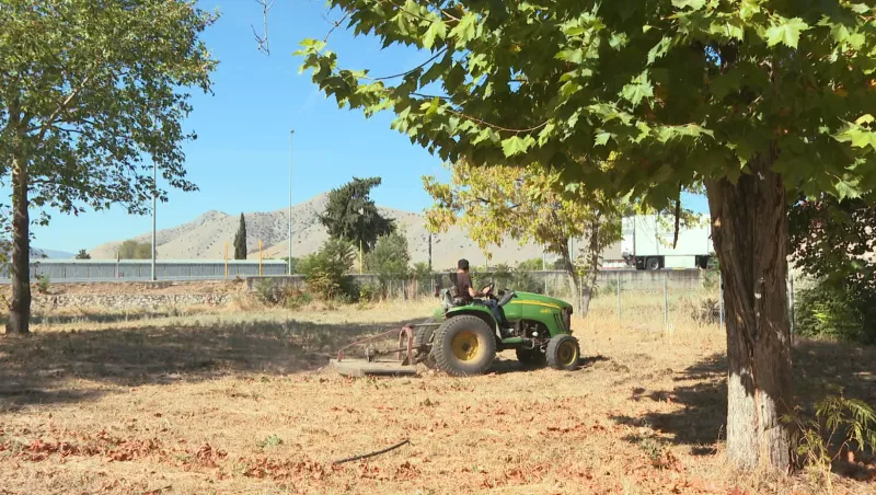 δημάρχος Τυρνάβου