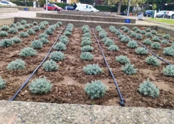 Αγνωστοι έκλεψαν τη μέντα, το θυμάρι και τον δυόσμο από τα παρτέρια του Δ.Θεσσαλονίκης