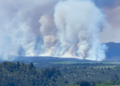 Ανεξέλεγκτη πυρκαγιά μαίνεται σε εθνικό πάρκο της Νέας Ζηλανδίας - Στάχτη 11.000 στρέμματα