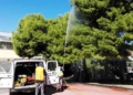 Χανιά: Ξεκίνησε ο βιολογικός ψεκασμός σε δημοτικούς χώρους, σχολεία και πάρκα για την προστασία των πεύκων