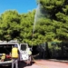 Χανιά: Ξεκίνησε ο βιολογικός ψεκασμός σε δημοτικούς χώρους, σχολεία και πάρκα για την προστασία των πεύκων