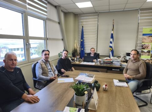 Δήμος Μινώα Πεδιάδας: Μαζικές στειρώσεις με στόχο την μείωση των αδέσποτων ζώων