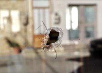 Φρούριο τα Βορίζια υπό τον φόβο αντιποίνων - Σε εξέλιξη η κηδεία του 39χρονου