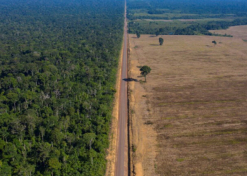 Γαλλικοί τραπεζικοί κολοσσοί κατηγορούνται ότι χρηματοδοτούν την αποψίλωση του Αμαζονίου