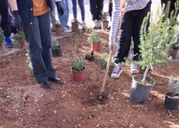 Ηράκλειο: Μαθητές έβαλαν… πράσινο στο πάρκο δίπλα στο σχολείο τους (εικόνες)