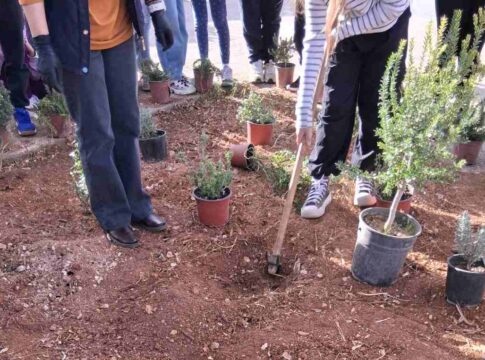 Ηράκλειο: Μαθητές έβαλαν… πράσινο στο πάρκο δίπλα στο σχολείο τους (εικόνες)