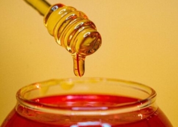 Κρητικό μέλι… υπό εξαφάνιση: Λιγότερη από ποτέ η φετινή παραγωγή στο νησί (βίντεο)