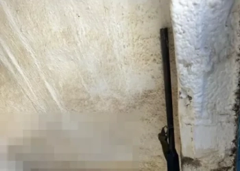 Μακελειό στα Βορίζια: Έξι οι εμπλεκόμενοι – Τι βρήκε η αστυνομία μετά την έρευνα στα σπίτια – Φωτογραφίες