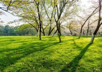 Νέοι χώροι πρασίνου και αναψυχής και αλλαγή του ορίου ταχύτητας στις κατοικημένες περιοχές – Τι ανακοίνωσε ο Αλ. Καλοκαιρινός