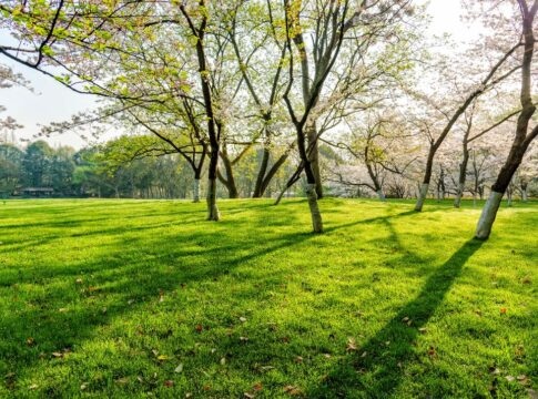 Νέοι χώροι πρασίνου και αναψυχής και αλλαγή του ορίου ταχύτητας στις κατοικημένες περιοχές – Τι ανακοίνωσε ο Αλ. Καλοκαιρινός