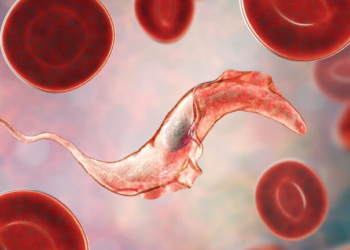 Νόσος Chagas: Το παράσιτο από τη Λατινική Αμερική έχει μολύνει και την Ευρώπη