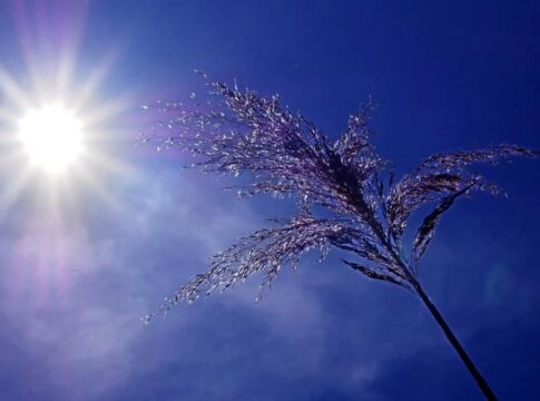 Ο καιρός σήμερα: Νοτιάδες στην Κρήτη – Ανεβαίνει ο υδράργυρος