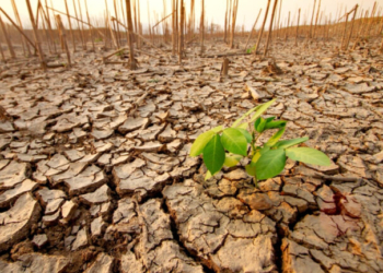 ΟΟΣΑ: Επιβράδυνση των δράσεων για την κλιματική κρίση-Η Ευρώπη μειώνει τις εκπομπές ρύπων