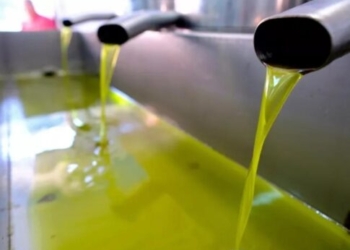 Παραγωγοί στην Κρήτη δε θα βγάλουν λάδι ούτε για το σπίτι τους!