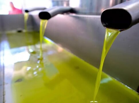 Παραγωγοί στην Κρήτη δε θα βγάλουν λάδι ούτε για το σπίτι τους!